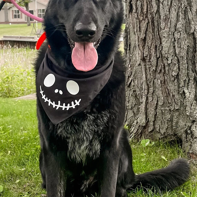 Skeleton Pet Dog Cat puppy Bandana Halloween eve Party Fancy Dress Costume accessory Trick or Treat decoration gift Photo props sold by Poopy and Poops General Pet Store poppyandpoops.ca