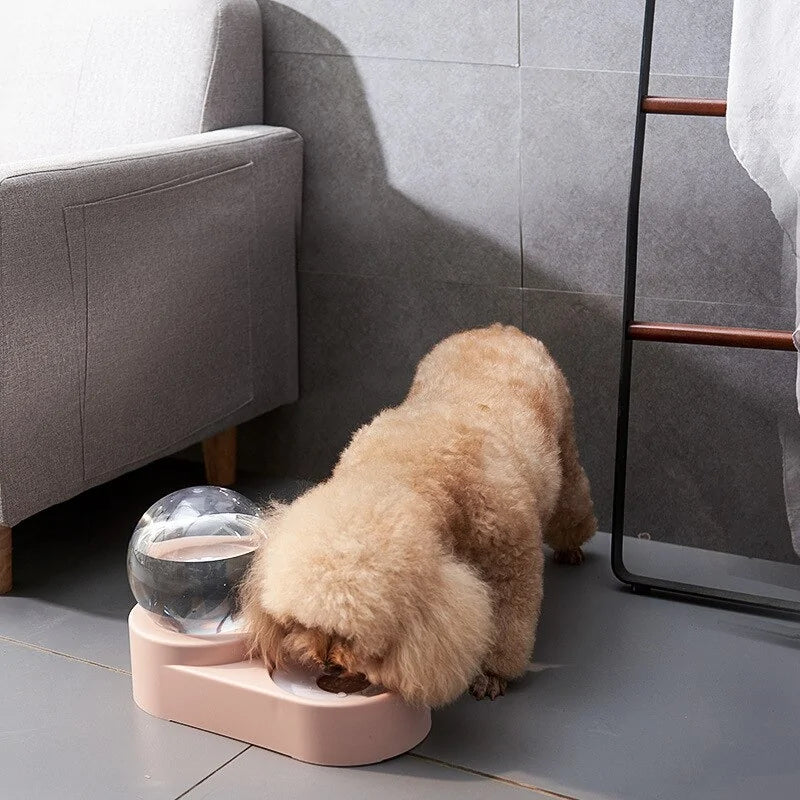 Flexible Pet Dog Food / Water Bowl sold by Poopy and Poops General Pet Store poppyandpoops.ca