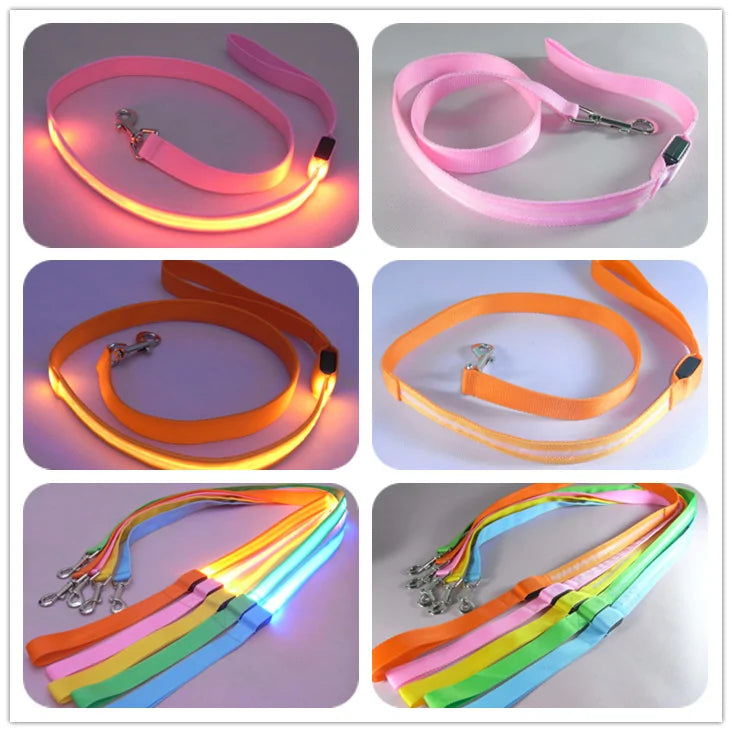 Glow In Dark Dog Leash sold by Poopy and Poops General Pet Store poppyandpoops.ca