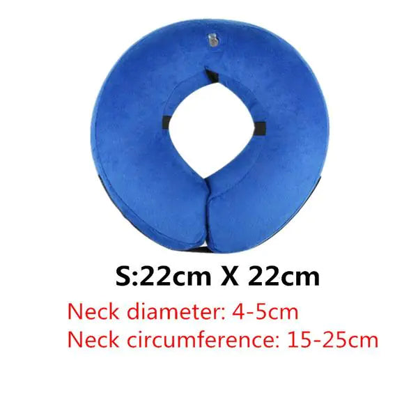 Inflatable Pet Collar Donut Blue 22Centimeter x 22Centimeter sold by Poopy and Poops General Pet Store poppyandpoops.ca