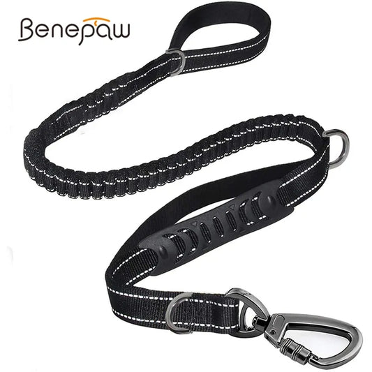 Reflective Dog Leash sold by Poopy and Poops General Pet Store poppyandpoops.ca