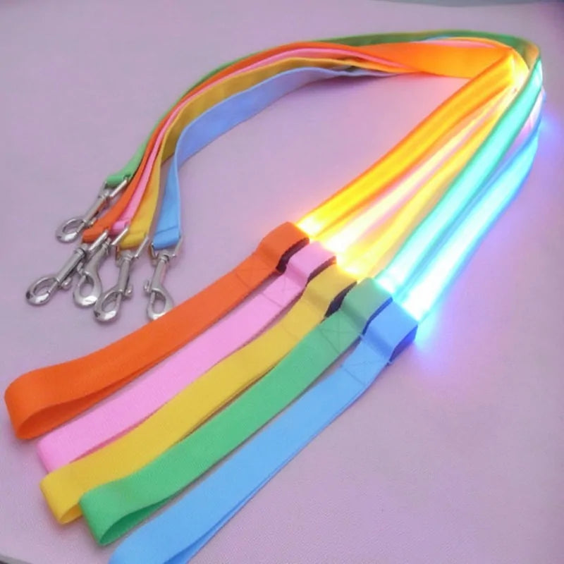 Glow In Dark Dog Leash sold by Poopy and Poops General Pet Store poppyandpoops.ca