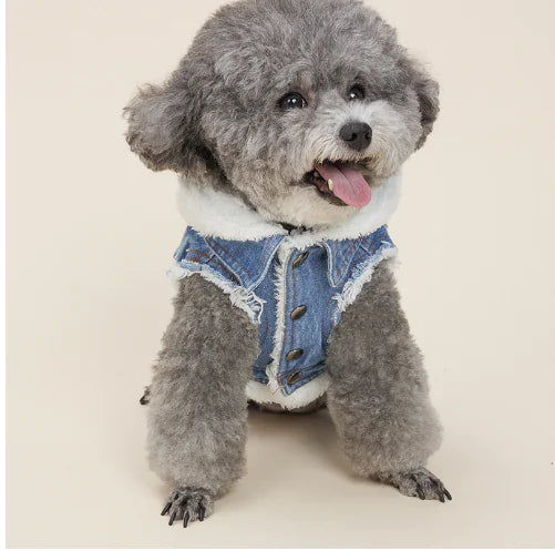 Denim Dog Jacket Denim 2 sold by Poopy and Poops General Pet Store poppyandpoops.ca