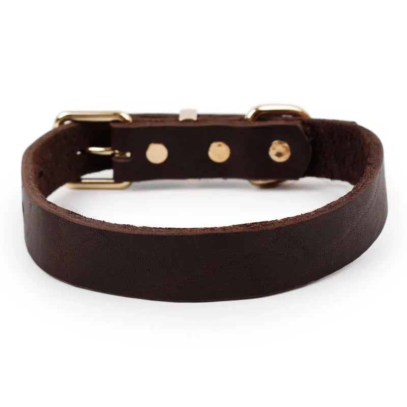 Leather Dog Collar sold by Poopy and Poops General Pet Store poppyandpoops.ca