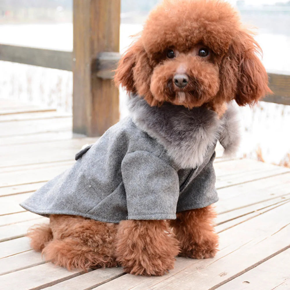 Pet Fur Collar Prep Pea Dog Coat sold by Poopy and Poops General Pet Store poppyandpoops.ca