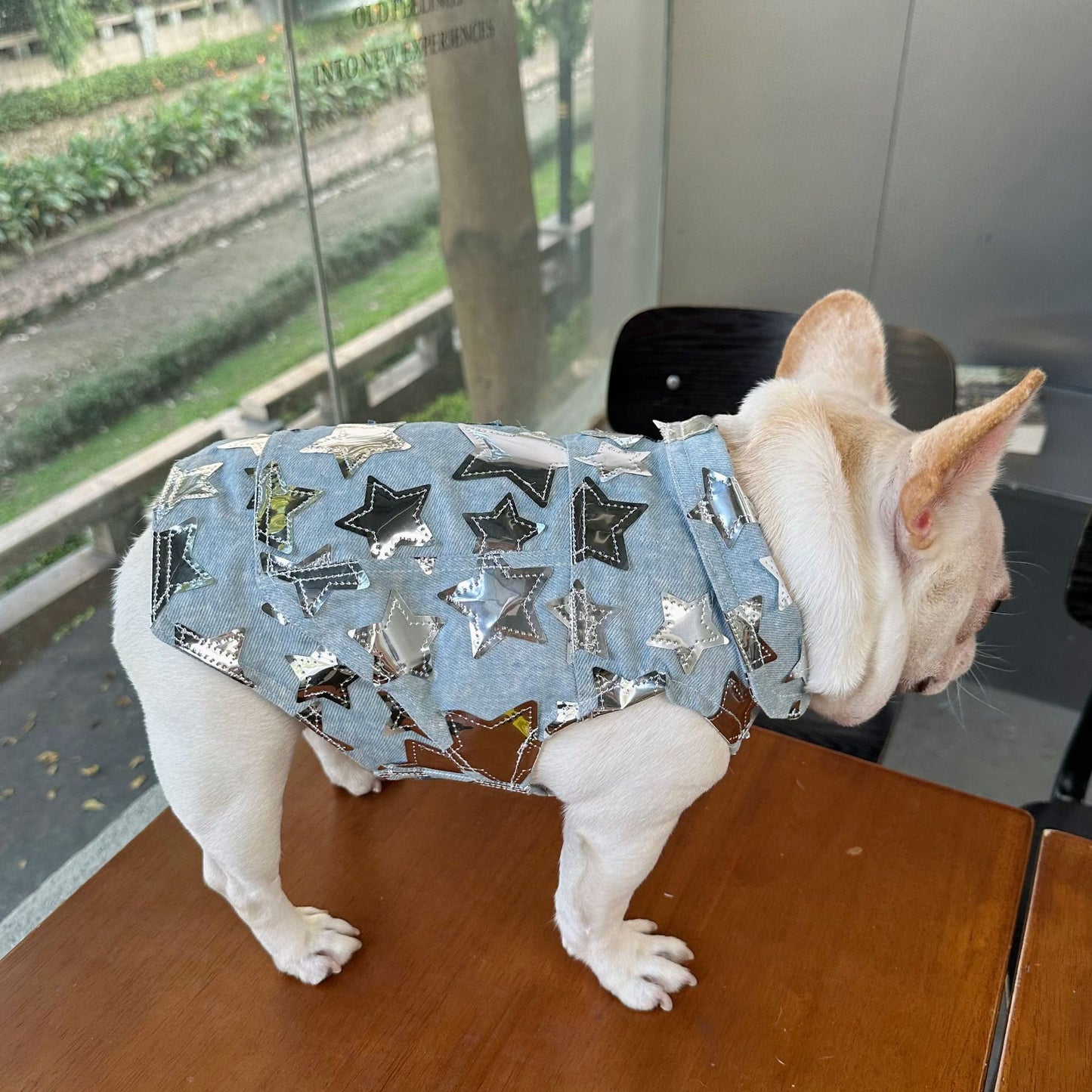 Pet Dog Summer Denim Vest Jacket