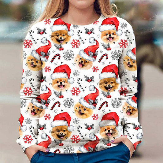 Women's Pomeranian Printed Ugly Christmas Crew Neck Sweater