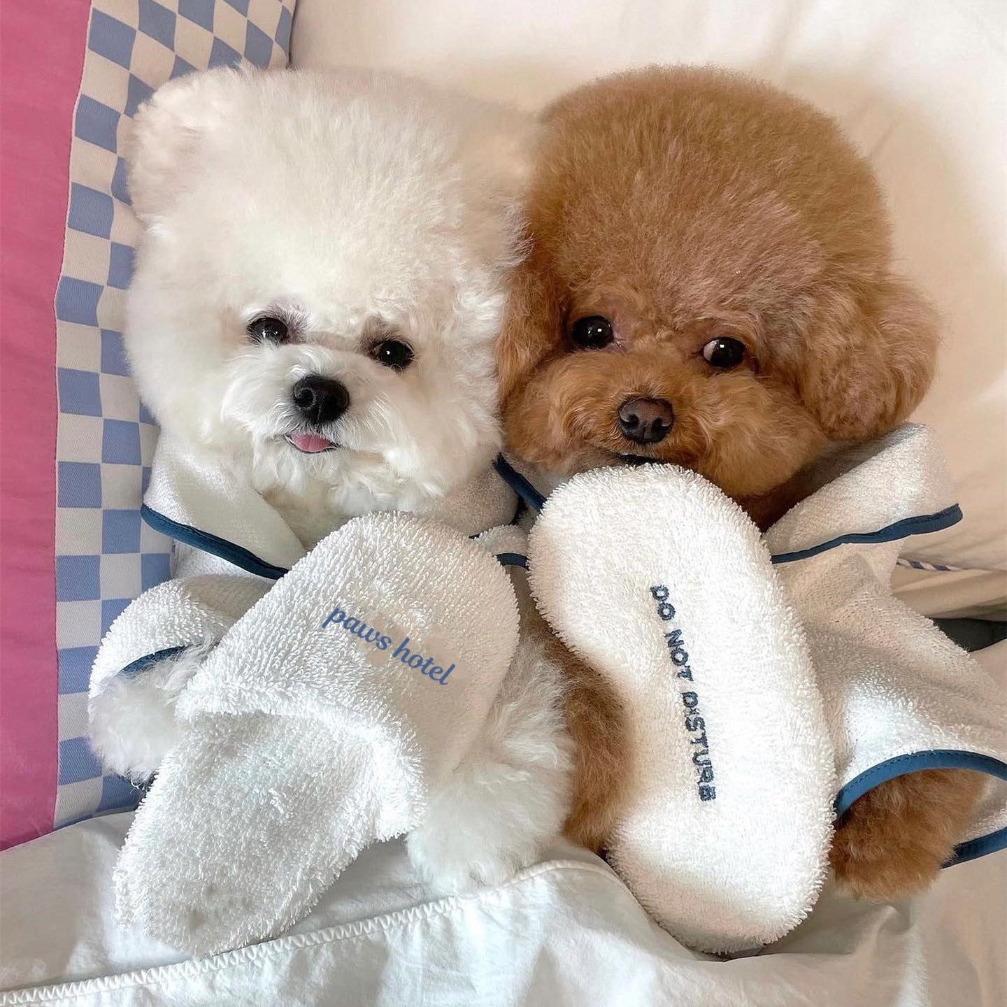 Pet Dog Bathrobe Housecoat with Matching slippers and Night Mask in White with Blue Embordering