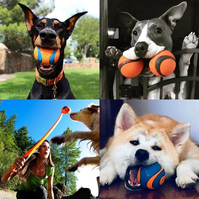 Rubber Dog Ball for Medium to Small Dogs in Orange