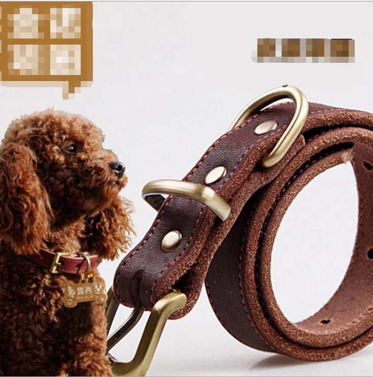 Leather Dog Collar sold by Poopy and Poops General Pet Store poppyandpoops.ca