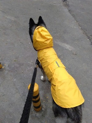 Pet Waterproof Windproof Hood Puppy Raincoat