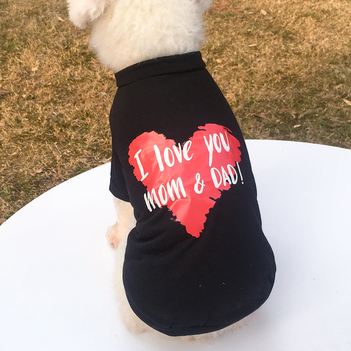 New Pet Clothes Dog Clothing Round Neck Printed Raglan Sleeve T-shirt