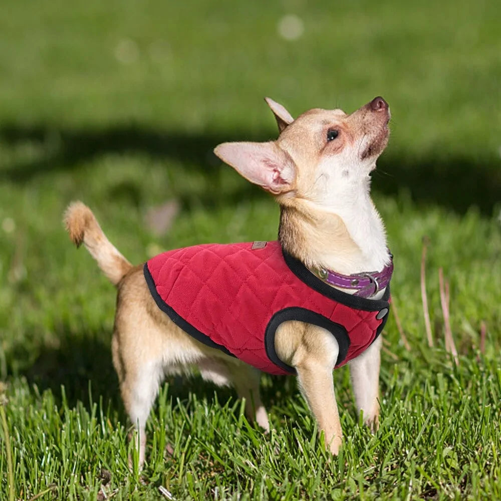 Winter Dog Coat Jacket sold by Poopy and Poops General Pet Store poppyandpoops.ca