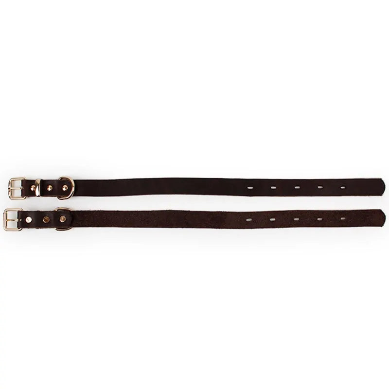 Leather Dog Collar sold by Poopy and Poops General Pet Store poppyandpoops.ca