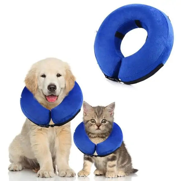 Inflatable Pet Collar Donut sold by Poopy and Poops General Pet Store poppyandpoops.ca