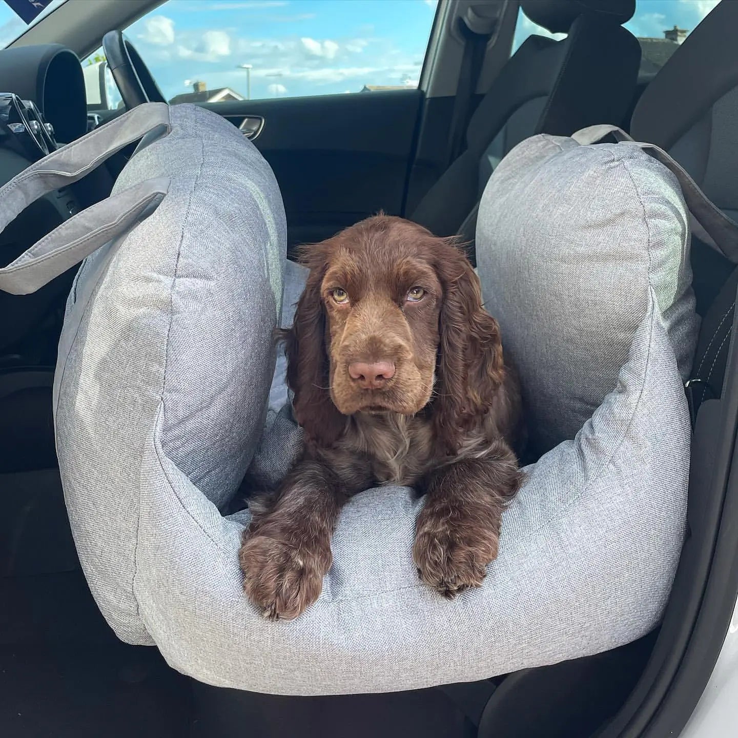 Paws and Pups™ Travel Bed Light Grey sold by Poopy and Poops General Pet Store poppyandpoops.ca