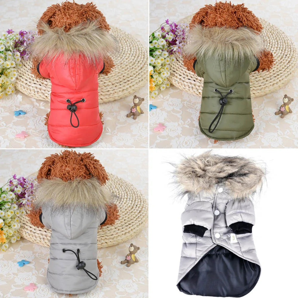 Flux Fur Warm Winter Small Dog Jackets sold by Poopy and Poops General Pet Store poppyandpoops.ca