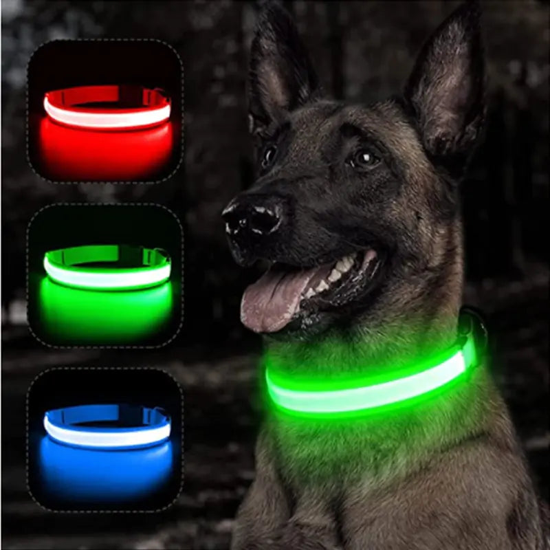 Glowing Dog Collar sold by Poopy and Poops General Pet Store poppyandpoops.ca