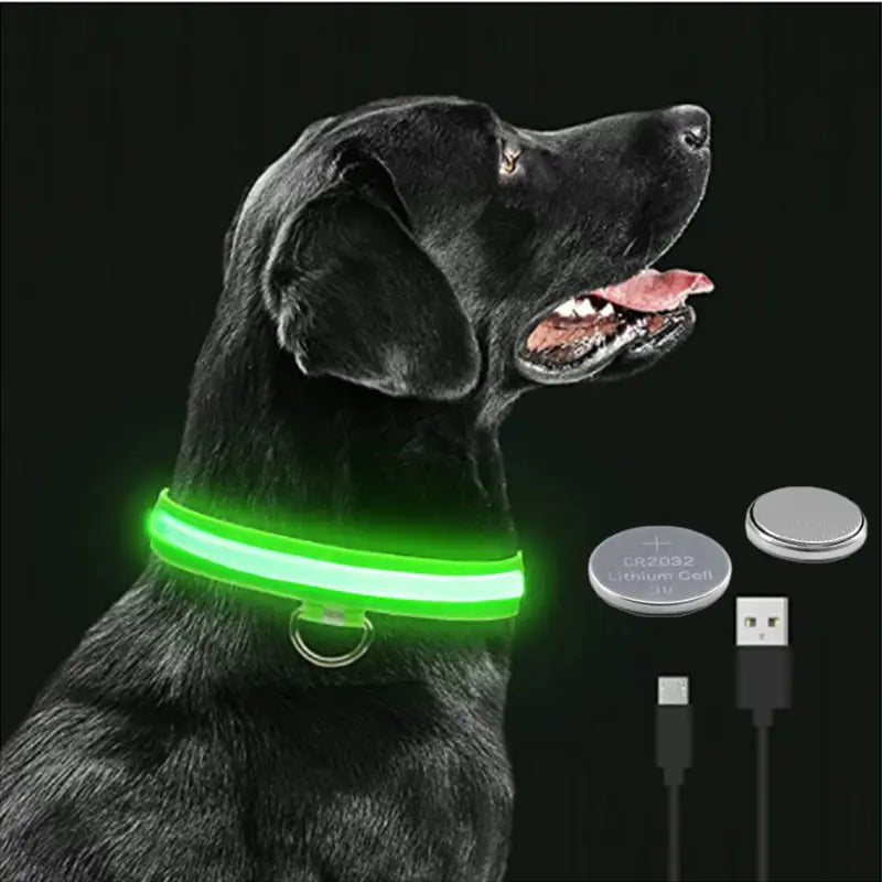 Glowing Dog Collar sold by Poopy and Poops General Pet Store poppyandpoops.ca