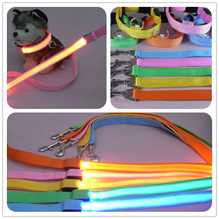 Glow In Dark Dog Leash sold by Poopy and Poops General Pet Store poppyandpoops.ca