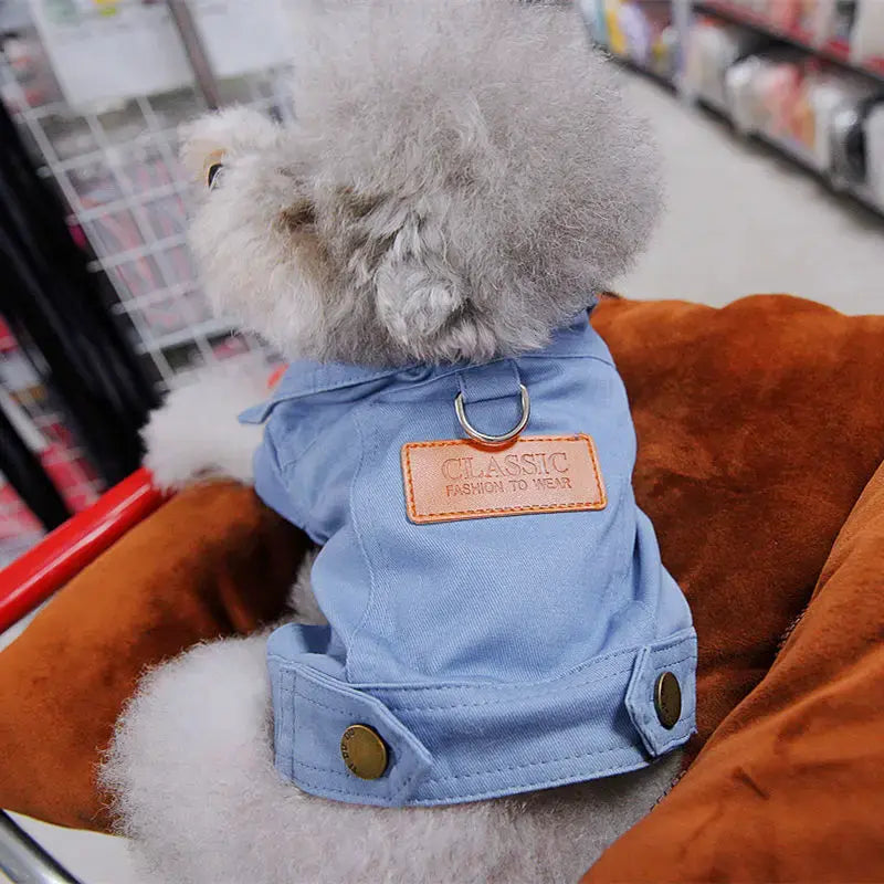 Spring Denim Dog Jacket Blue sold by Poopy and Poops General Pet Store poppyandpoops.ca