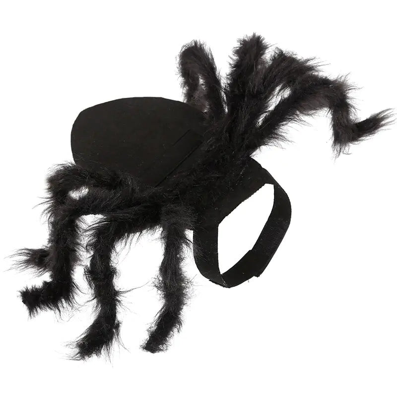 Halloween Spider Costume for Pets sold by Poopy and Poops General Pet Store poppyandpoops.ca