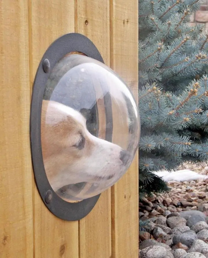 Pet Peek-a-Boo Fence Window sold by Poopy and Poops General Pet Store poppyandpoops.ca