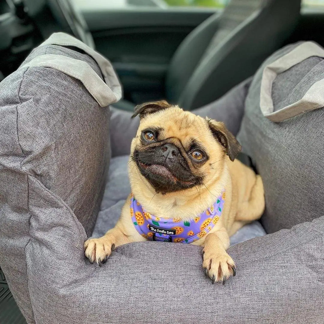 Paws and Pups™ Travel Bed sold by Poopy and Poops General Pet Store poppyandpoops.ca