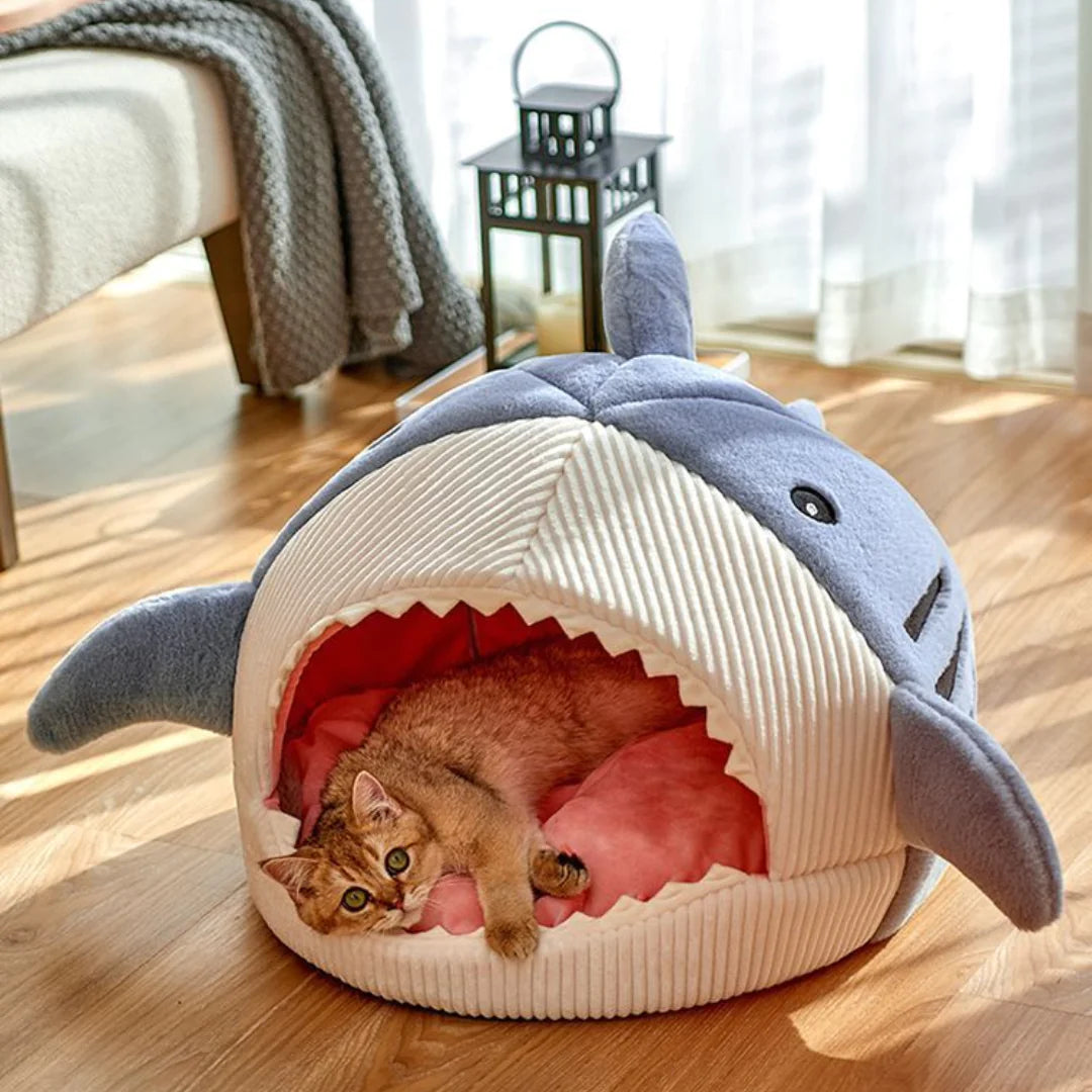 The Shark Pet Dog Bed sold by Poopy and Poops General Pet Store poppyandpoops.ca