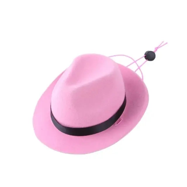 Star Cowboy Hat Pet Light Pink sold by Poopy and Poops General Pet Store poppyandpoops.ca