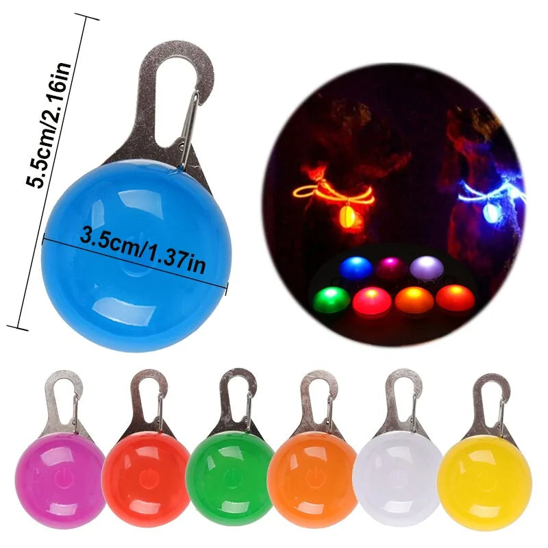 LED Pet Dog Tag sold by Poopy and Poops General Pet Store poppyandpoops.ca