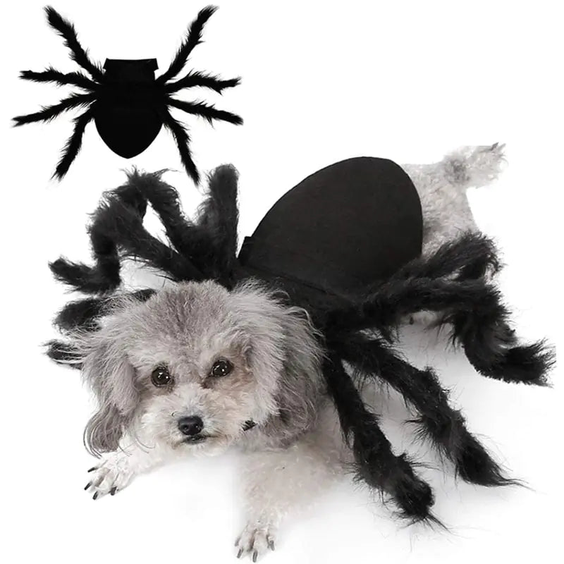 Halloween Spider Costume for Pets sold by Poopy and Poops General Pet Store poppyandpoops.ca