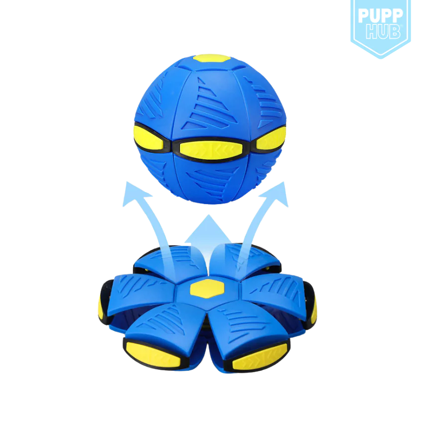 Flippit Interactive Dog Toy Blue Without Lights sold by Poopy and Poops General Pet Store poppyandpoops.ca