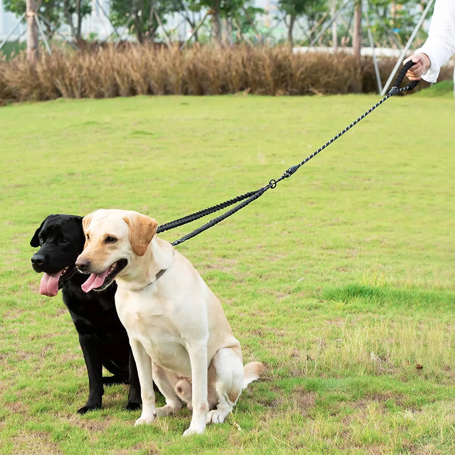 Double Lead Dog Leash sold by Poopy and Poops General Pet Store poppyandpoops.ca