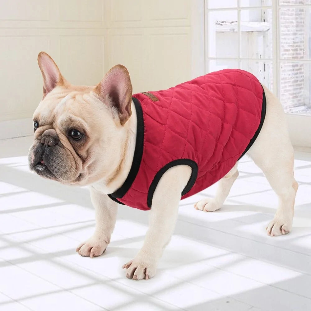 Winter Dog Coat Jacket sold by Poopy and Poops General Pet Store poppyandpoops.ca