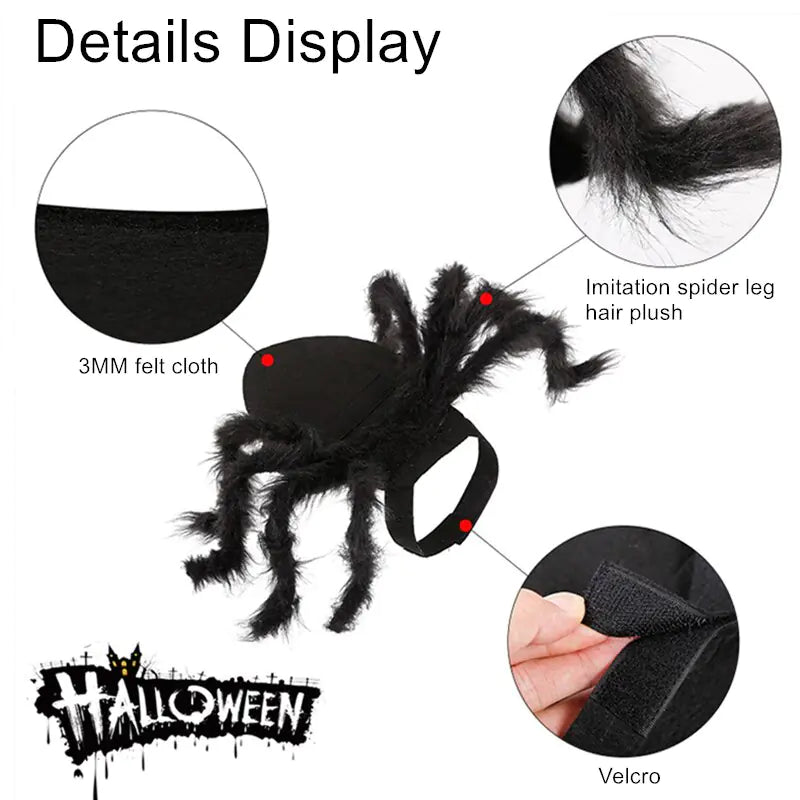 Halloween Spider Costume for Pets sold by Poopy and Poops General Pet Store poppyandpoops.ca
