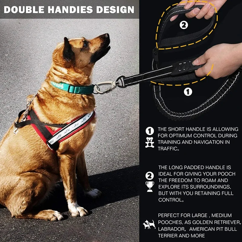 Reflective Dog Leash sold by Poopy and Poops General Pet Store poppyandpoops.ca