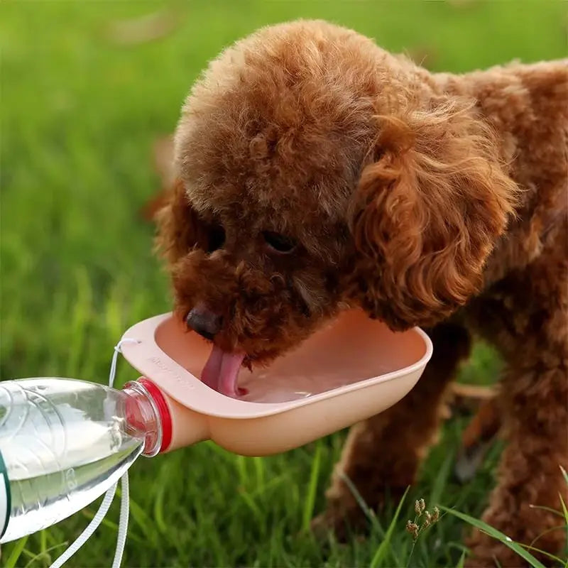 Portable Pet Dog Water Bottle sold by Poopy and Poops General Pet Store poppyandpoops.ca