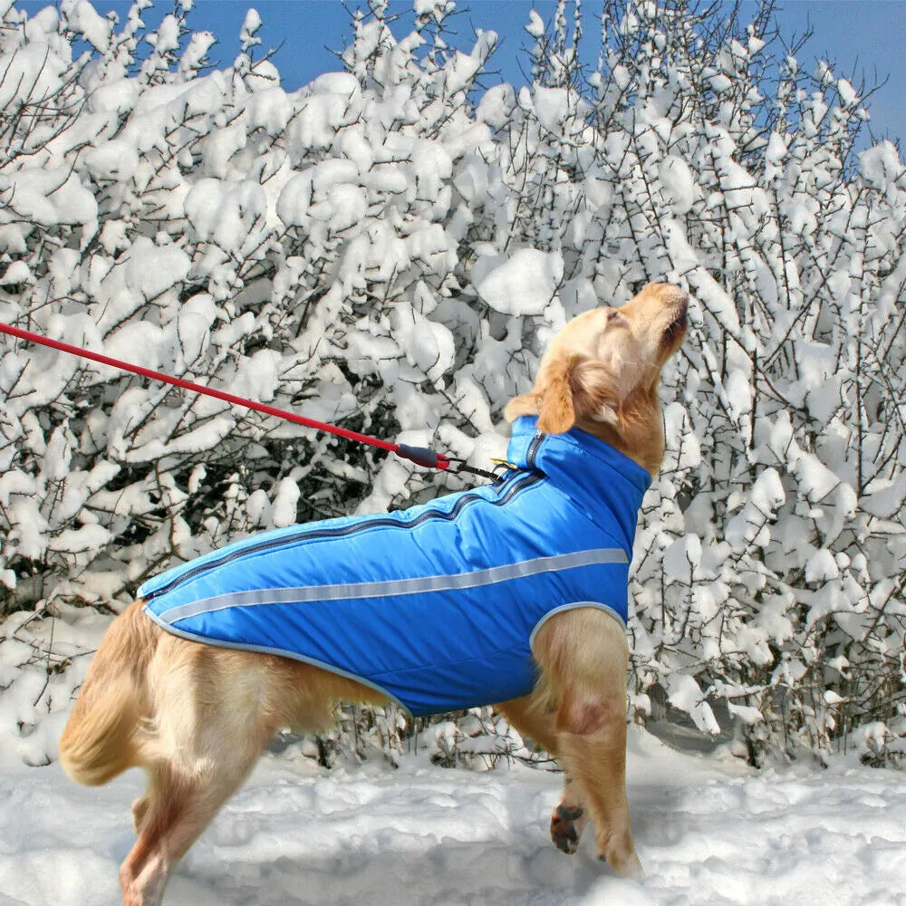 Waterproof Winter Reflective Large Dog Jacket sold by Poopy and Poops General Pet Store poppyandpoops.ca