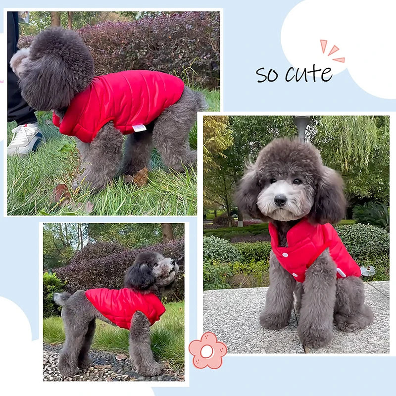 Double Sided Dog Coat Winter Warm sold by Poopy and Poops General Pet Store poppyandpoops.ca