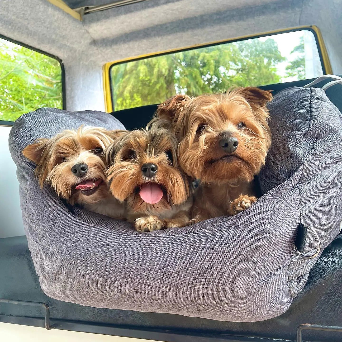 Paws and Pups™ Travel Bed Grey sold by Poopy and Poops General Pet Store poppyandpoops.ca