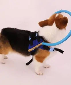 Blind dog harness best sale