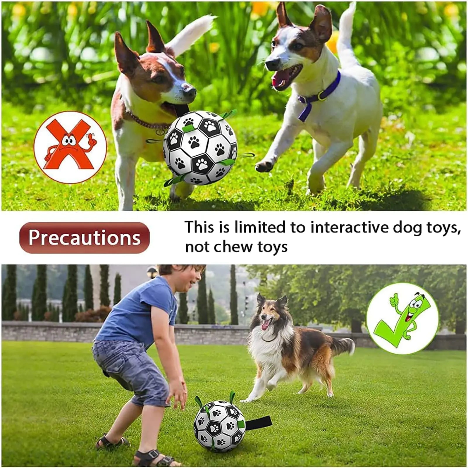 Interactive Dog Football sold by Poopy and Poops General Pet Store poppyandpoops.ca