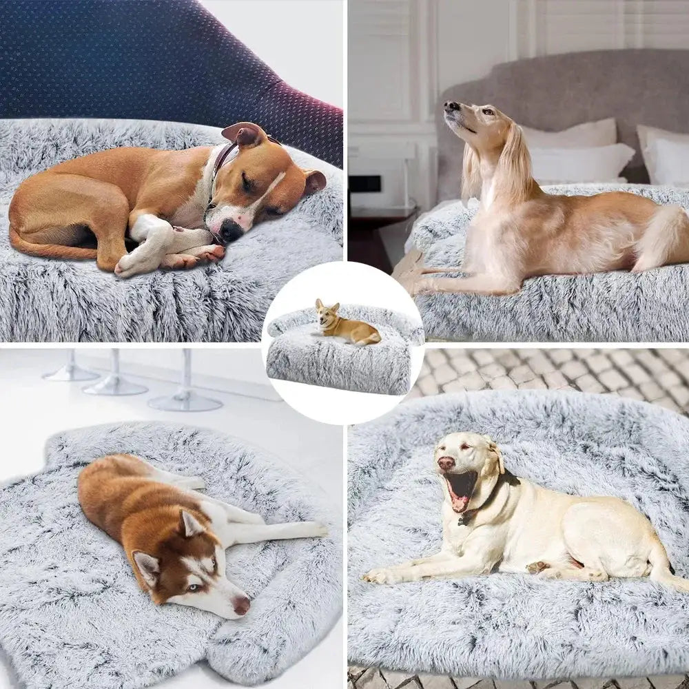 Washable Plush Dog Bed Sofa Cover sold by Poopy and Poops General Pet Store poppyandpoops.ca